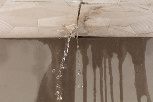 Professional Structural Drying technician working in Freedom, ME